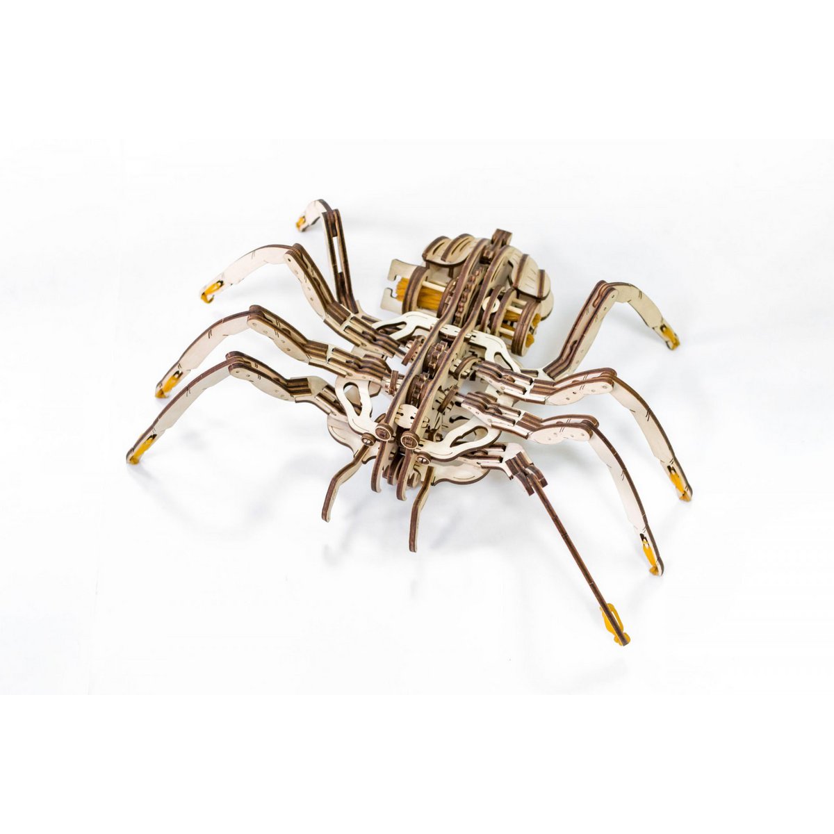 Eco Wood Art (EWA) 3D Mechanische Houten Puzzel Spin/ Spider