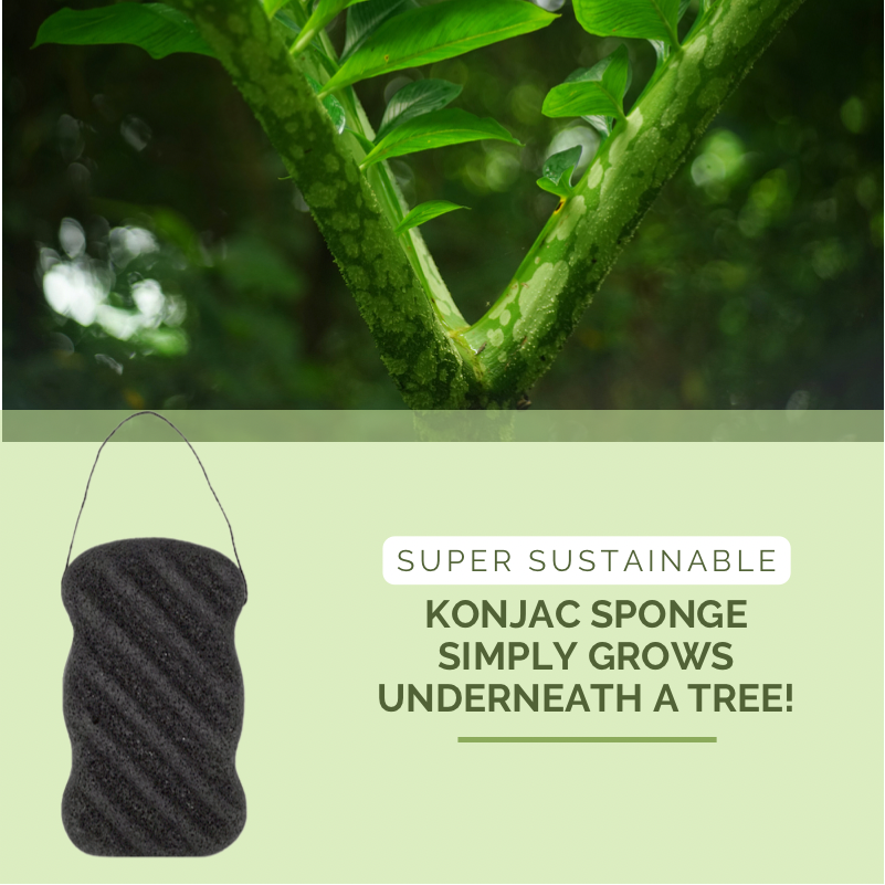green-goose Houtskool Konjacsponsjes | 2 Stuks