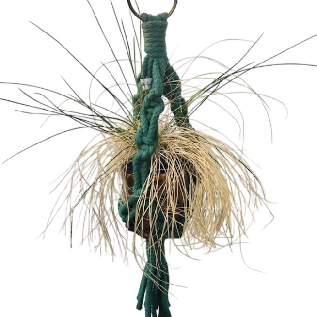 Luna-Leena plantenhanger mini macramé groen - Katoen - L38cm - Handgemaakt in Nepal