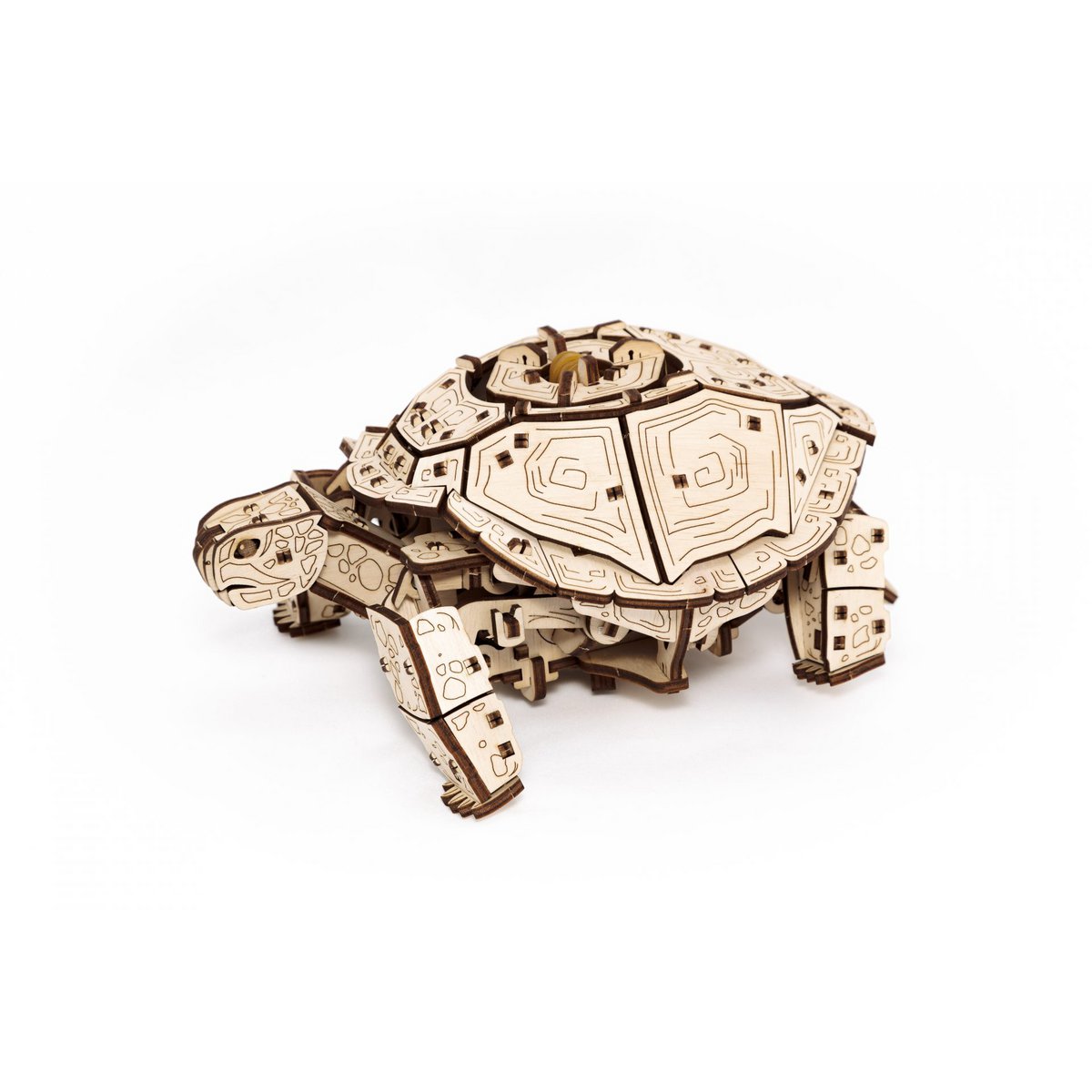 Eco Wood Art (EWA) 3D Mechanische Puzzel Schildpad/ Turtle 976 22