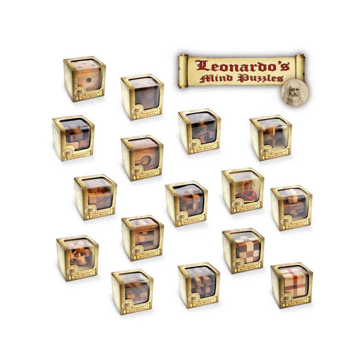 Display met 16 Houten Breinbrekers, Logica Giochi