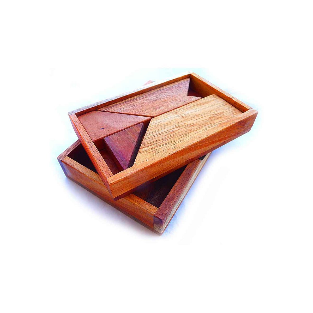 Logica Giochi Houten Puzzel T-Puzzel