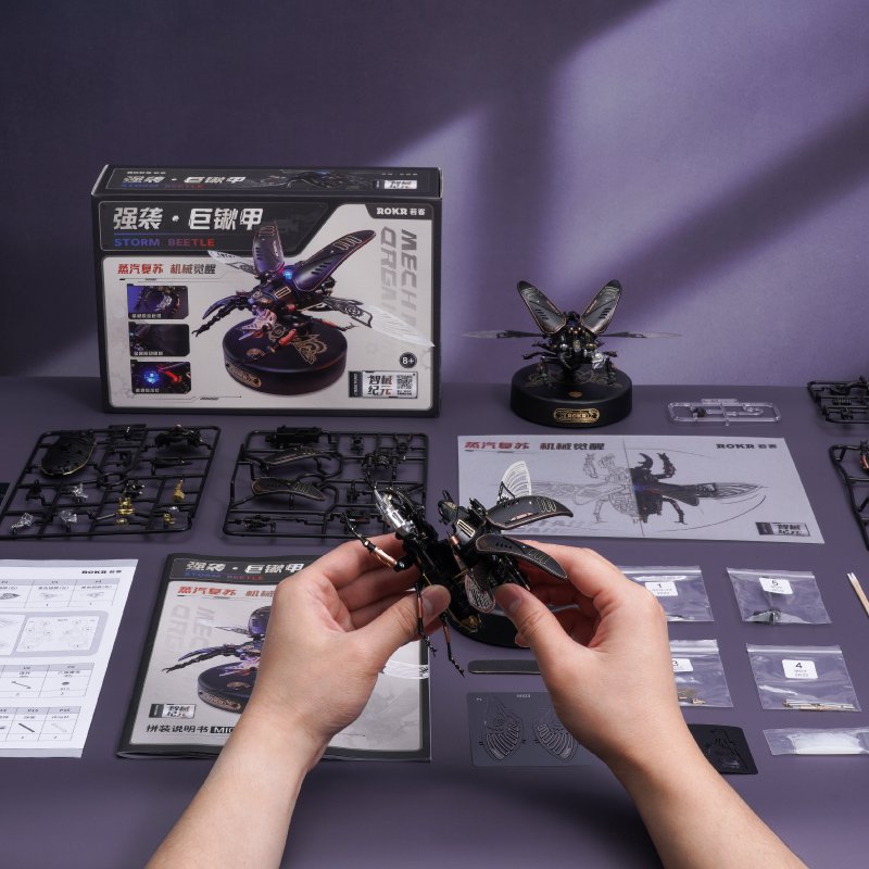 Robotime, 3D DIY Kunststof Bouwpakket Storm Kever/ Beetle