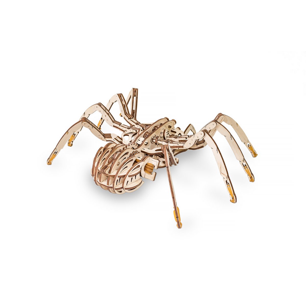 Eco Wood Art (EWA) 3D Mechanische Houten Puzzel Spin/ Spider