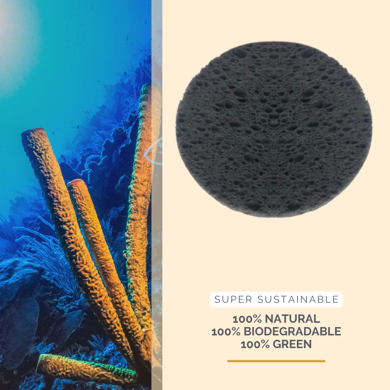 green-goose Bamboe Houtskool Cellulose Sponsjes | 60 Stuks