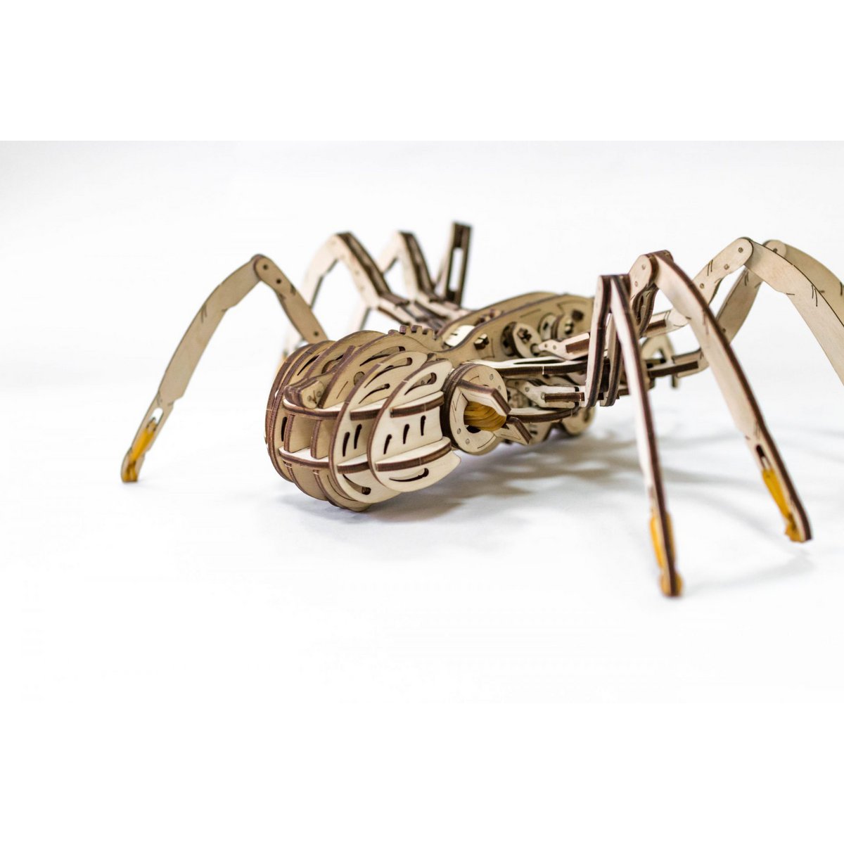 Eco Wood Art (EWA) 3D Mechanische Houten Puzzel Spin/ Spider