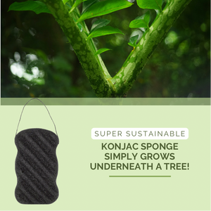 green-goose Houtskool Konjacsponsjes | 2 Stuks