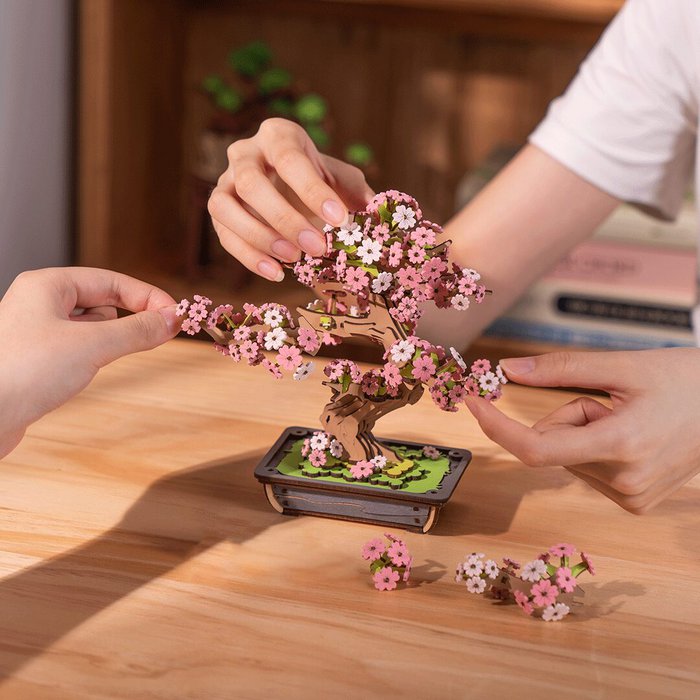 Robotime, Lekker onthaasten met dit DIY pakket, Sakura Bonsai.