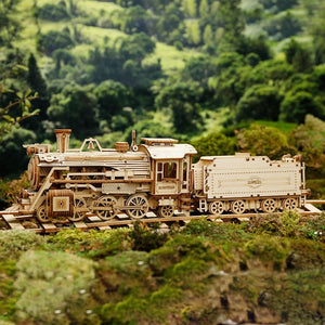 Robotime, 3D Houten Puzzel Prime Steam Express