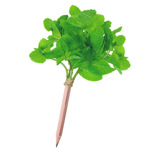 green-goose® Seedz Bloeipotlood in Plantbare Verpakking