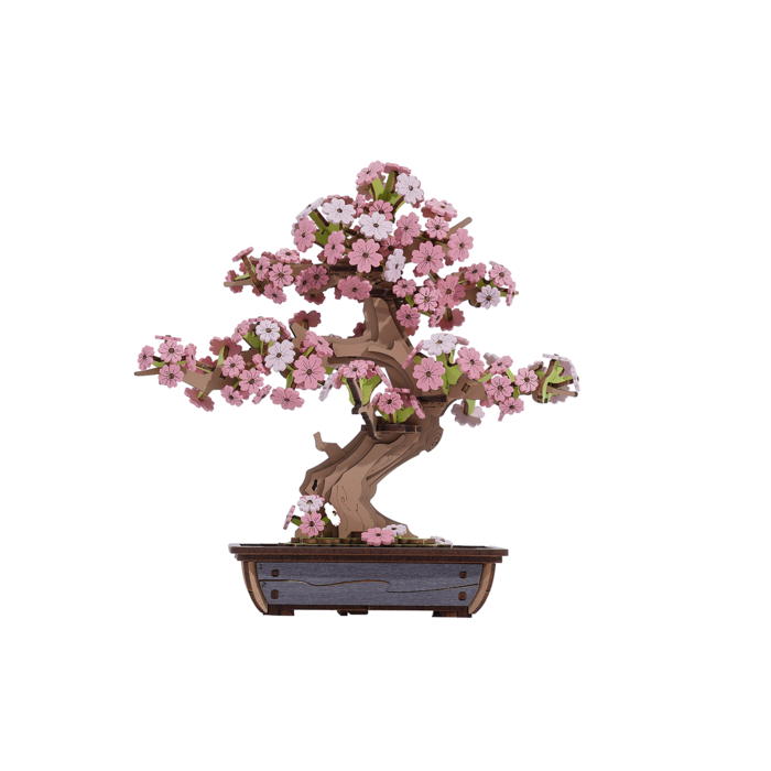 Robotime, Lekker onthaasten met dit DIY pakket, Sakura Bonsai.