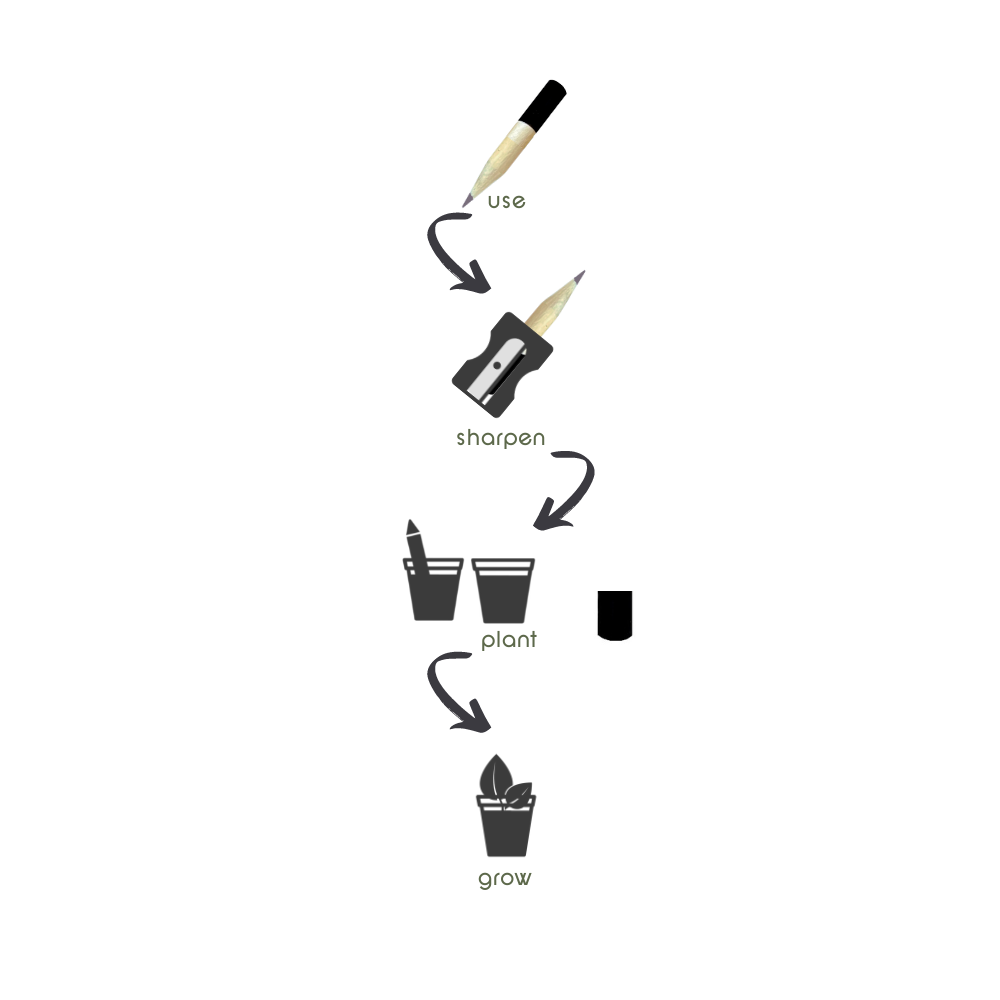 green-goose® Seedz Bloeipotlood | 4 Stuks | Munt